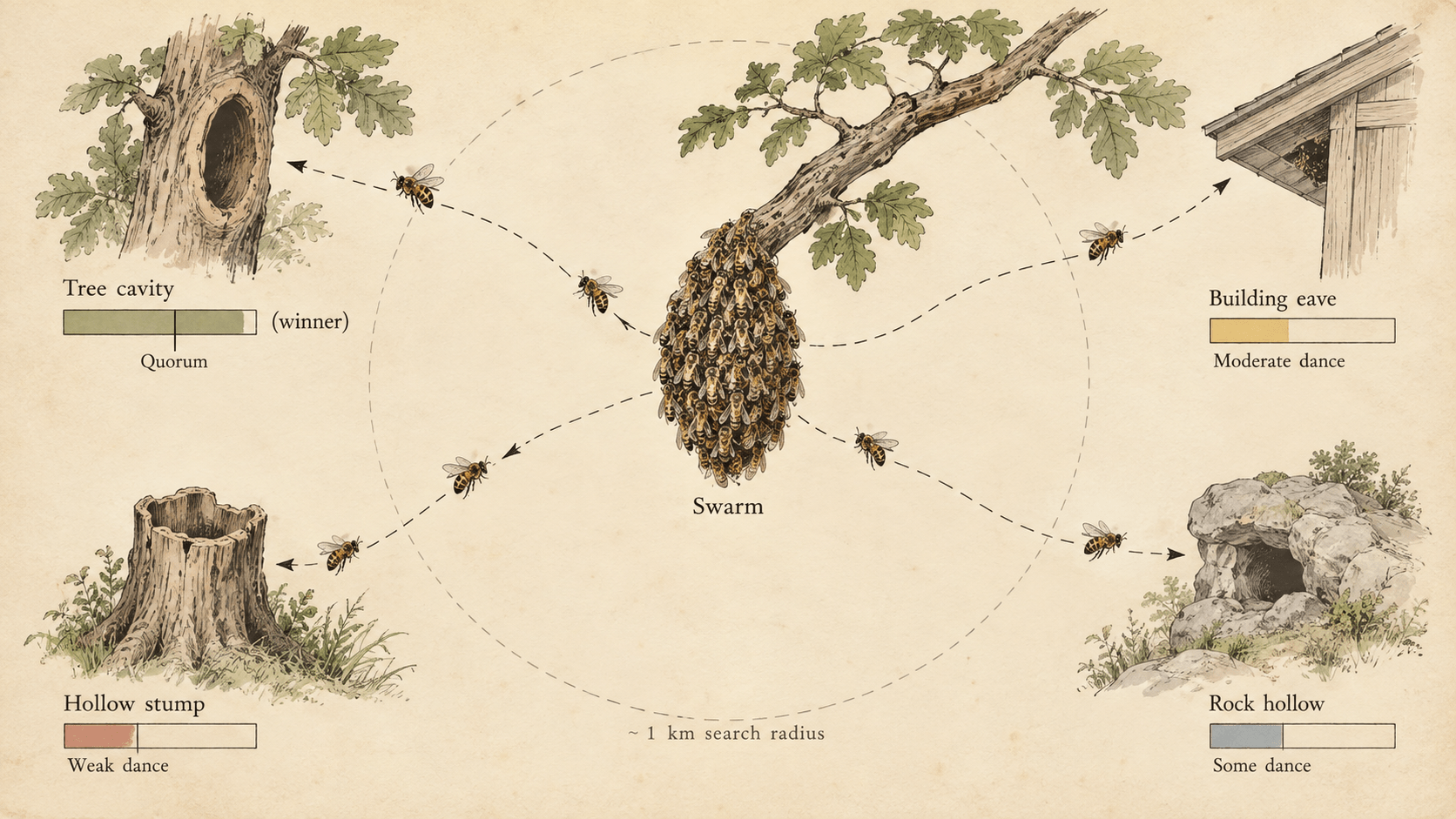 Illustration for A Sense of the Meeting