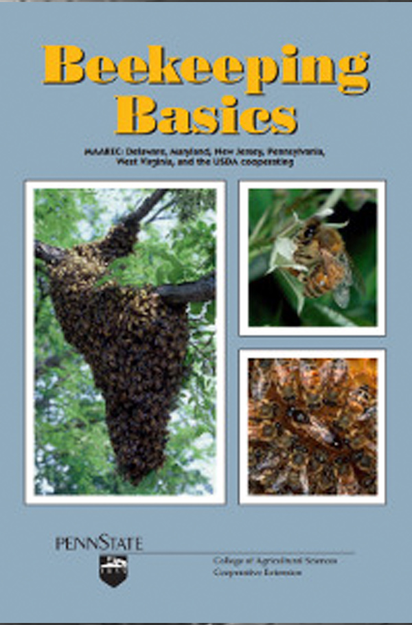 Cover for Beekeeping Basics
