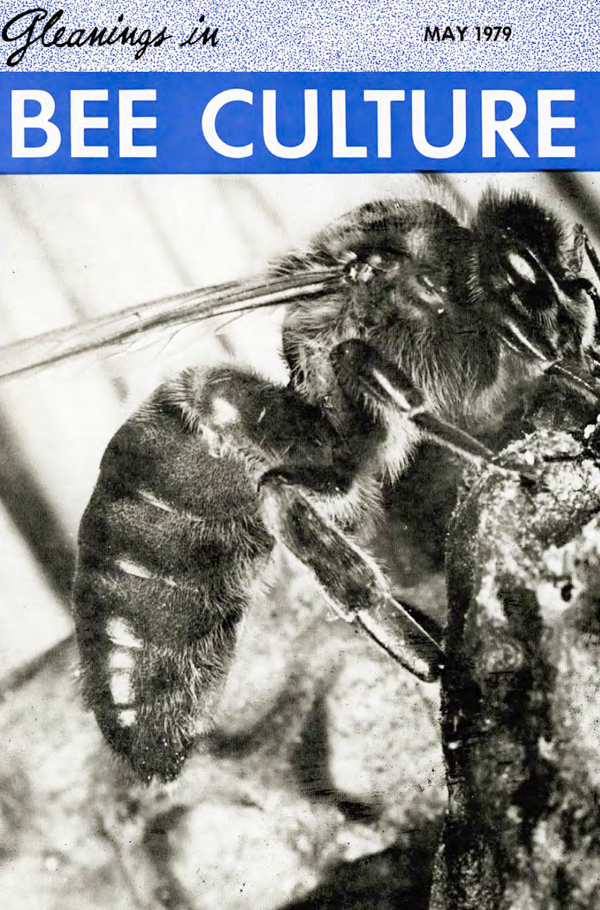 Cover for Gleanings in Bee Culture (3 issues)