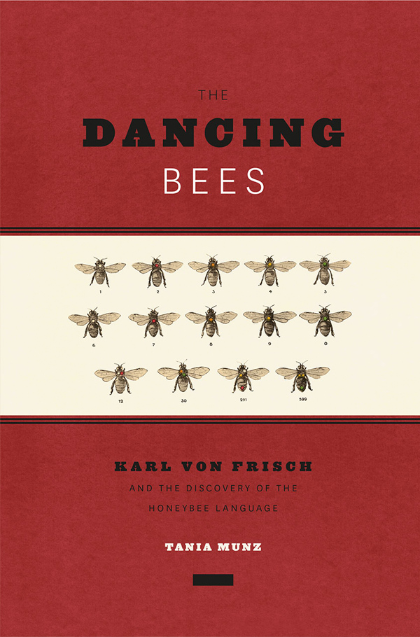 Cover for The Dancing Bees (book proposal)