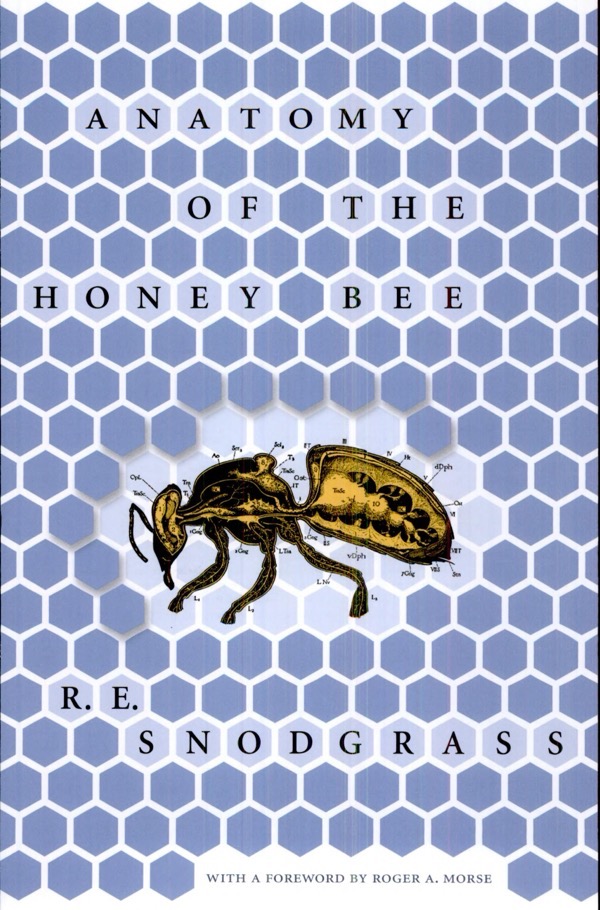 Cover for Anatomy of the Honey Bee