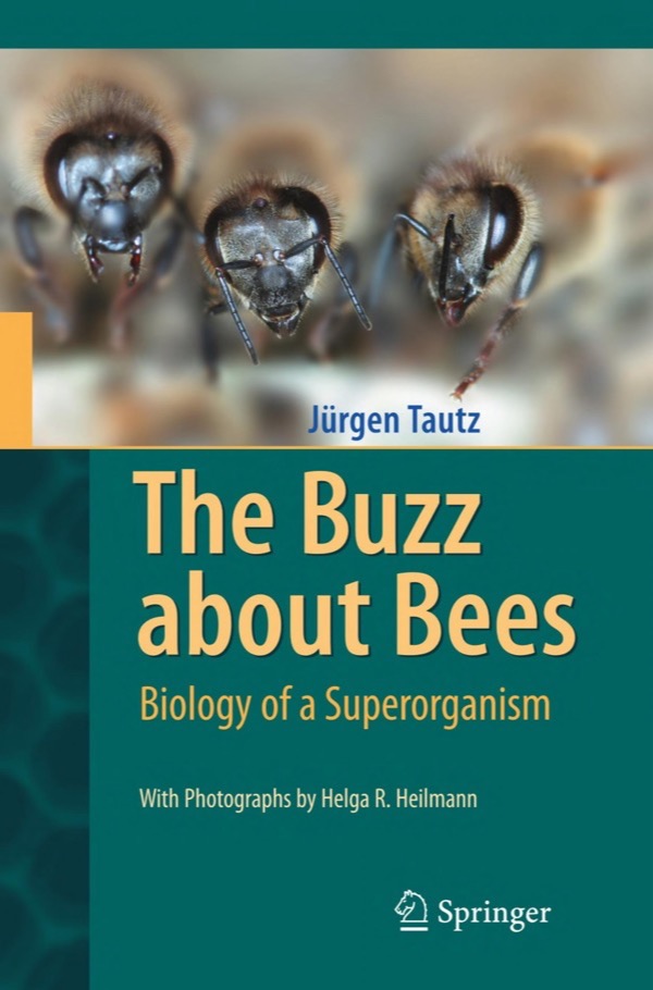 Cover for The Buzz about Bees